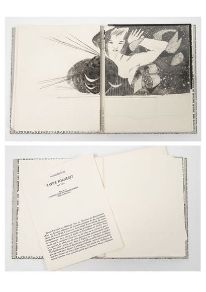 FORNERET Xavier
The diamond of the grass.

Etchings...
