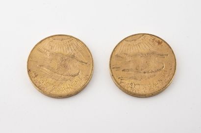 ÉTATS UNIS
Lot de deux pièces de 20 dollars...