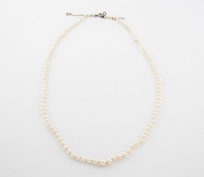 Necklace of white cultured pearls in fall....