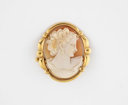 Yellow gold (750) brooch holding a cameo...