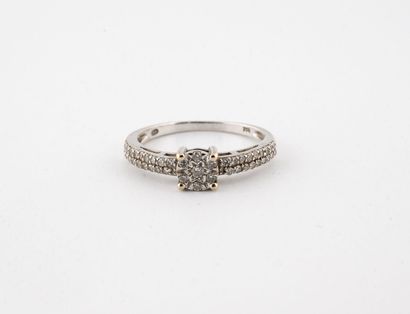 Ring in white gold (750) centered on small...