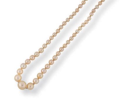 Necklace composed of a fall of pearls probably...