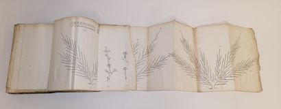 Botanique ou Horticulture
4 vols. : 

- Count...