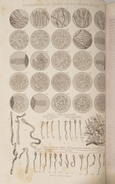 BUFFON (Georges-Louis LECLERC, comte de)
OEuvres...
