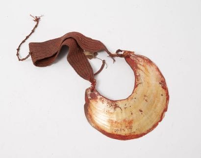PAPOUASIE
Papuan breastplate made of a cut...