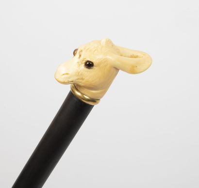 Cane with a donkey's head motif.

Cane in...