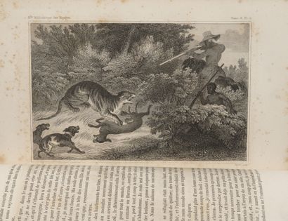 Nouvelle bibliothèque des Voyages anciens...
