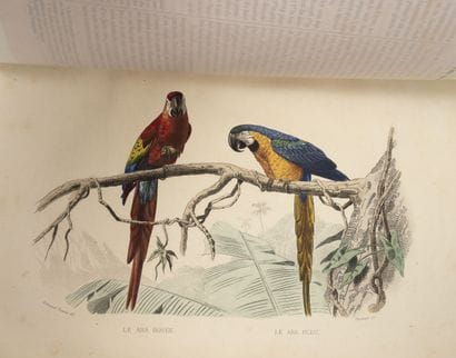 BUFFON (Georges-Louis LECLERC, comte de)
OEuvres...
