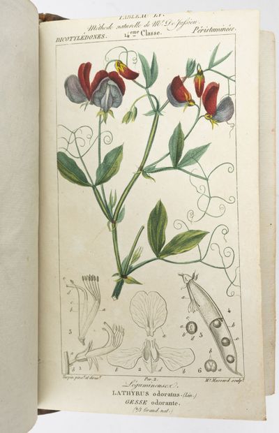 POIRET J.L.M.
Prospectus. Lessons of Flora....