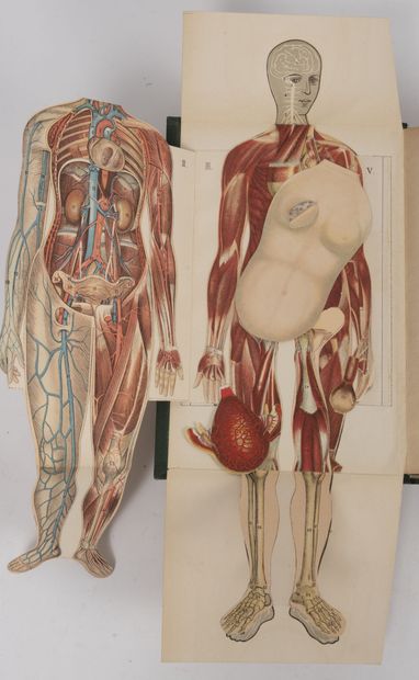 Dr. H. M. MENIER & Pr. Ph. HETTINGER
My Doctor,...