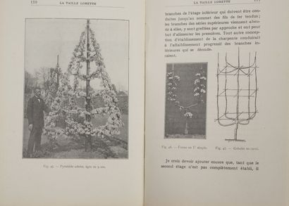 Botanique ou Horticulture
4 vols. : 

- Count...