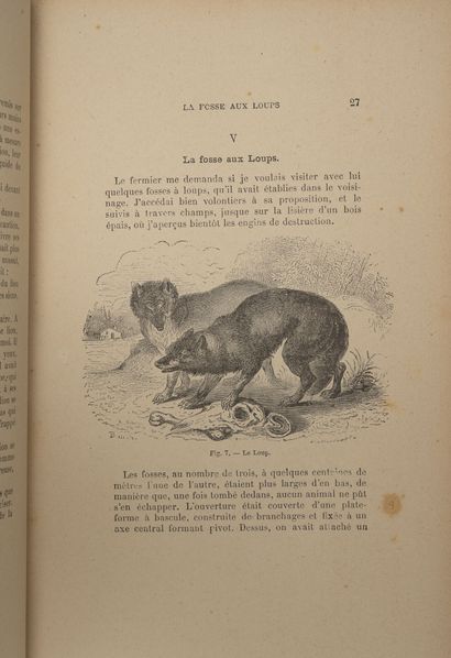 3 vols. :

- Abbé J.-J. BOURASSE

* Entomological...