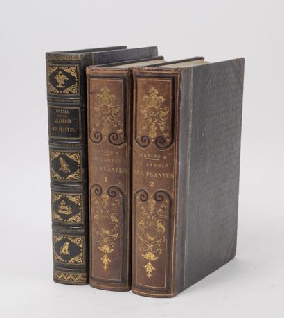 Dr. Emm. LEMAOUT
Le jardin des plantes, description...