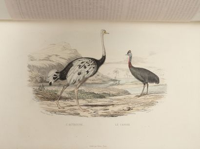 BUFFON (Georges-Louis LECLERC, comte de)
OEuvres...