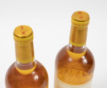 CHÂTEAU D'YQUEM
2 bottles, 2004.

Sauternes.

Good...