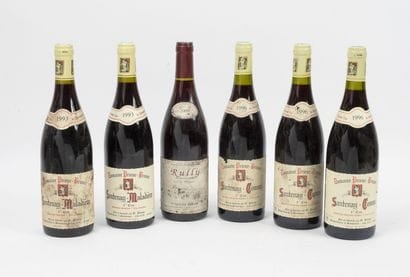 SANTENAY-MALADIERE
2 bottles, 1993.

Domaine...