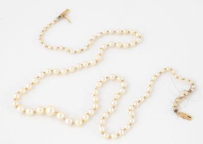 Collier de perles de culture blanches en...