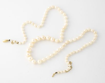 Collier de perles de culture blanches en...