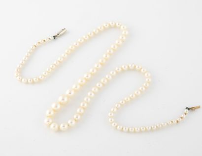 Collier de perles de culture blanches en...