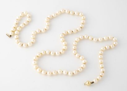 Collier de perles de culture blanches en...