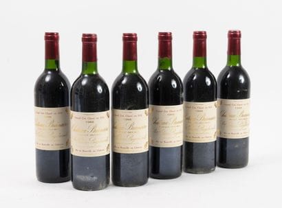 CHÂTEAU BRANAIRE DULUC-DUCRU
12 bouteilles,...