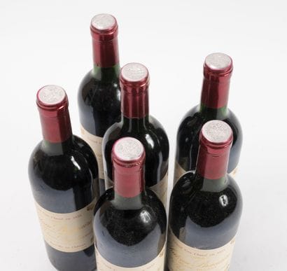 CHÂTEAU BRANAIRE DULUC-DUCRU
12 bouteilles,...