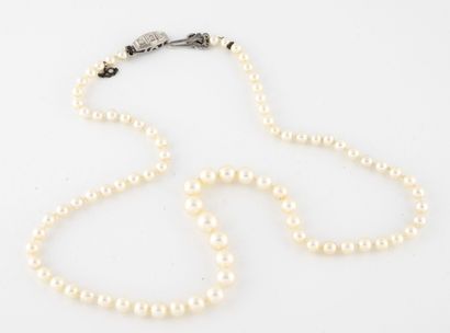 Necklace of cultured pearls in fall. 

Clasp...