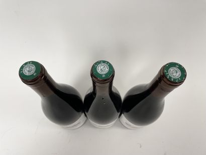 SAINT-NICOLAS-DE-BOURGUEIL
3 bottles, 2008.

Domaine...