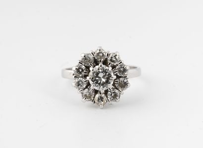 White gold (750) and platinum daisy ring...