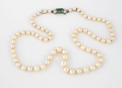Necklace of white cultured pearls in fall.

Ratchet...
