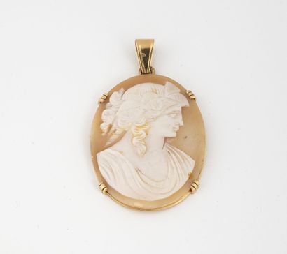 Oval pendant in yellow gold (750) holding...