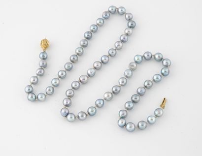 Tahitian cultured pearl necklace.

Hook clasp...
