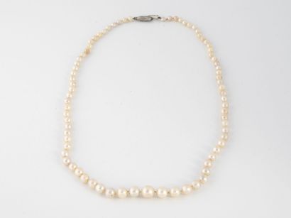 Collier à un rang de perles de culture blanches...