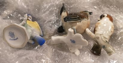 ALLEMAGNE ou autres
MANNETTE :

Set of birds...