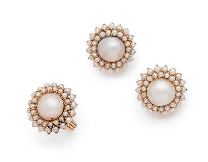 Half-set consisting of a ring and a pair...