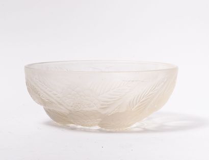 René LALIQUE France
Dahlias cup.

Model created...
