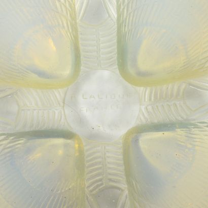 René LALIQUE France
Shell plate n°3 and shell...