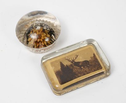 Two paperweights in colorless glass :

-...