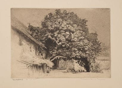 Edgar CHAHINE (1874-1947)
Le marronnier,...