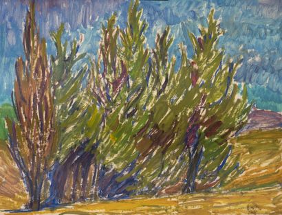 François DIANA (1903-1993)
Nu assis et Paysage...