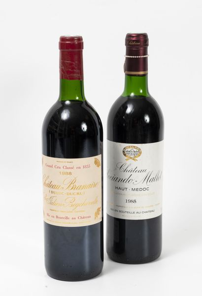 Château Branaire
1 bottle, 1988.

Duluc-Ducru.

GCC4...