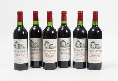 CHÂTEAU PEYREAU
6 bouteilles, 1979.

Saint-Emilion.

Bon...