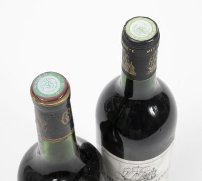 AMIRAL DE BEYCHEVELLE
1 bottle, 1988.

Saint-Julien.

Neck...