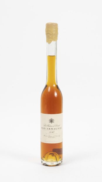 LA FONTAINE DE COINCY
Bas-Armagnac.

1 bouteille...