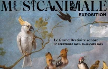 4 pass pour l'exposition Musicamale à la...