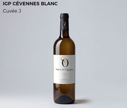 12 bouteilles de vin Blanc des Sources de...