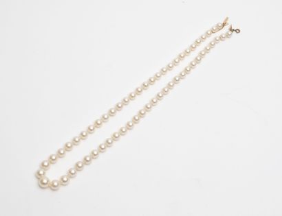 Collier de perles de culture blanches en...
