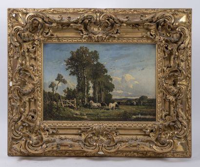 Félix Saturnin BRISSOT DE WARVILLE (1818-1892)...