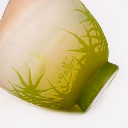 Établissements GALLE
Vase cup on foot, wide...