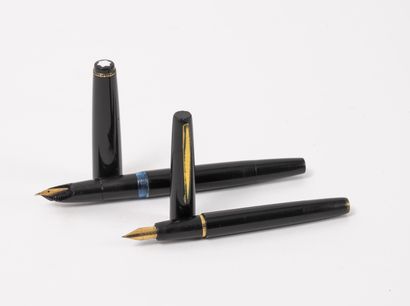 Lot de deux stylos plume en résine noir et...